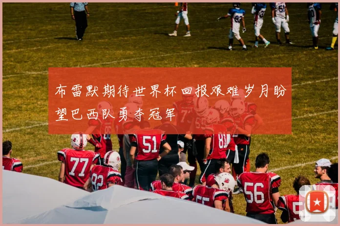 布雷默期待世界杯回报艰难岁月盼望巴西队勇夺冠军
